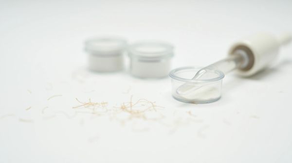Pipettes anti-puces pour chat : comment choisir la meilleure ?